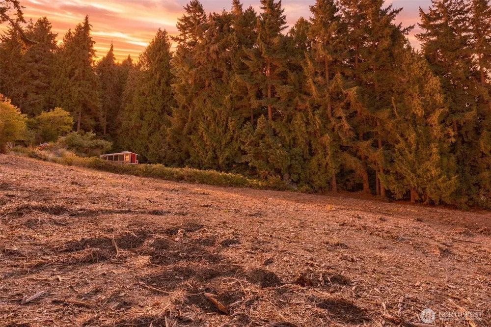 0 TBD NE Baker Hill Bainbridge Island, WA 98110