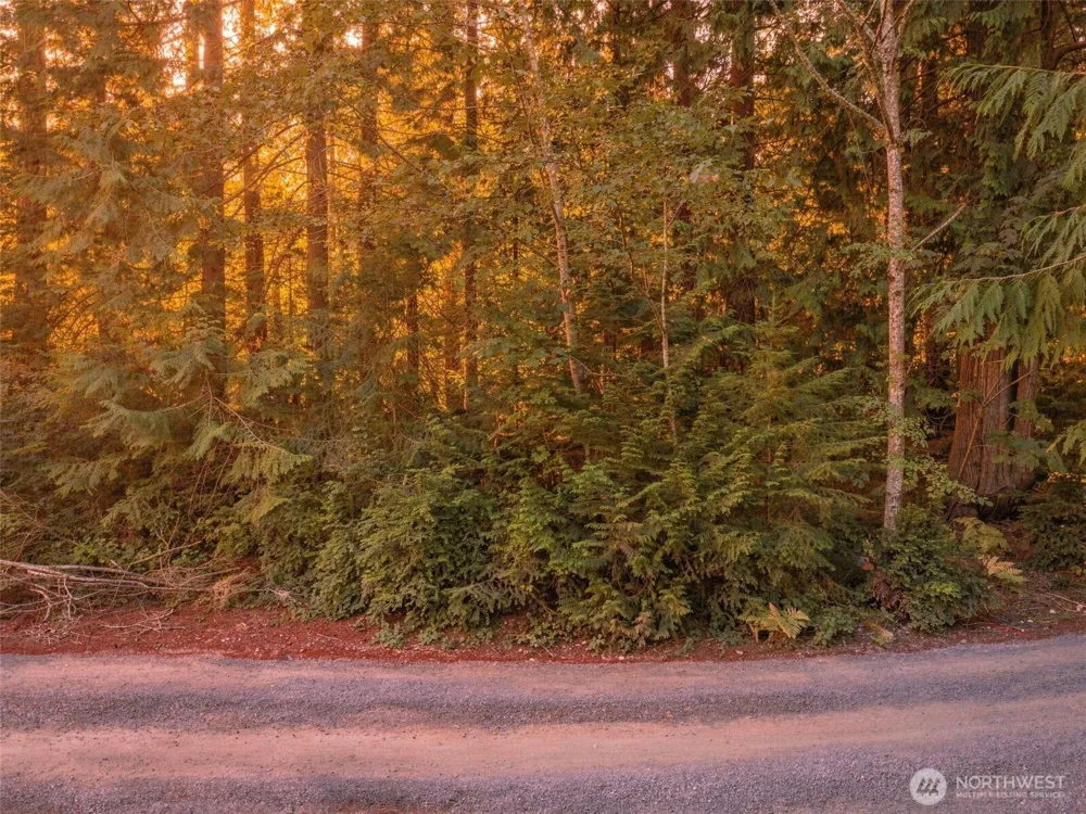 0 TBD NE Baker Hill Bainbridge Island, WA 98110