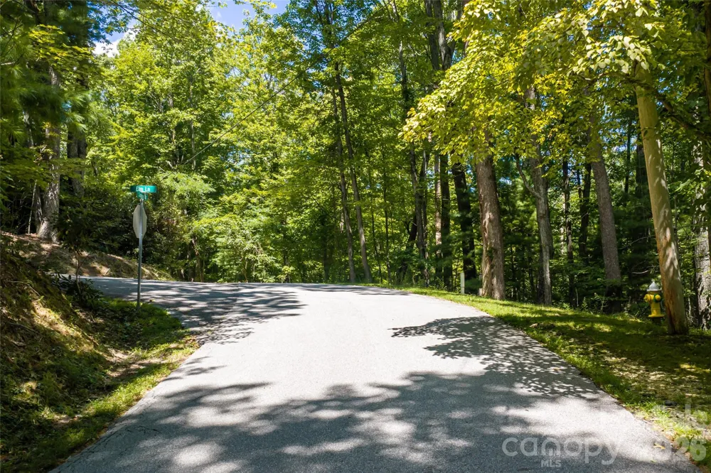 99999 Sabine Drive #2A Laurel Park, NC 28739