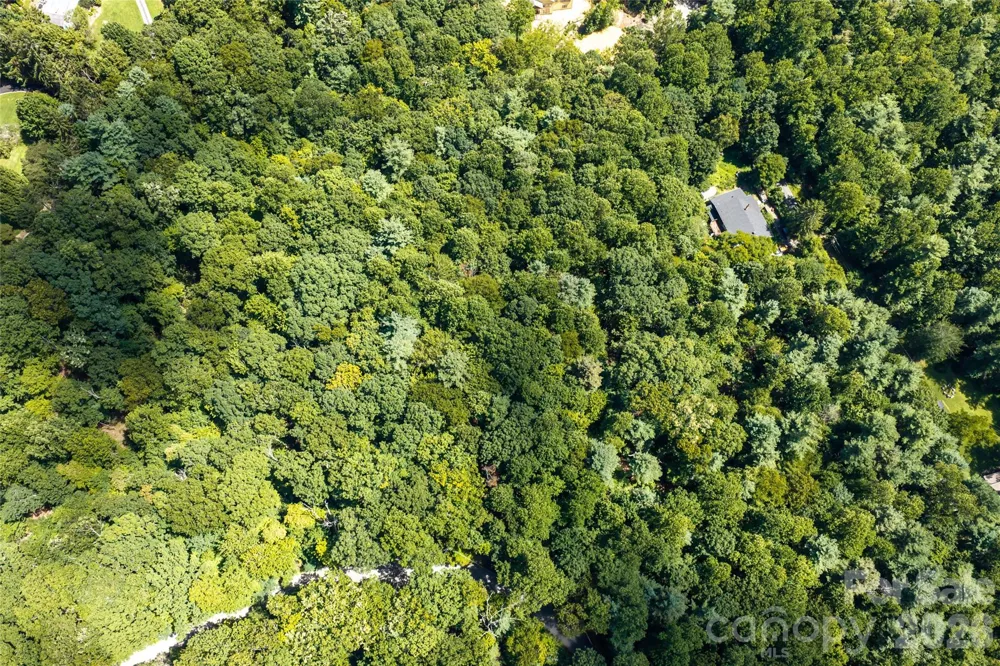99999 Sabine Drive #2A Laurel Park, NC 28739