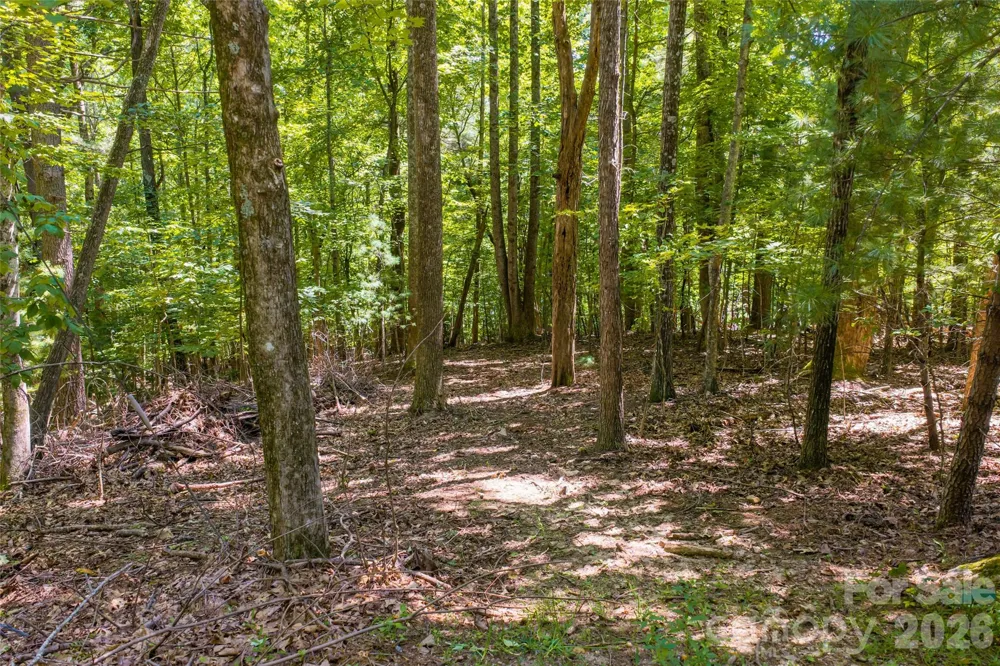 99999 Sabine Drive #2A Laurel Park, NC 28739