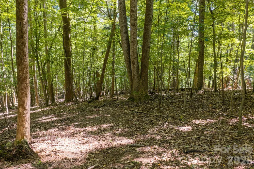 99999 Sabine Drive #2A Laurel Park, NC 28739