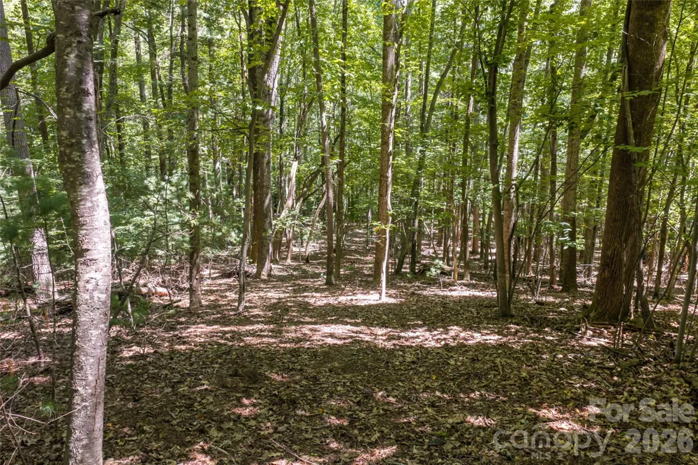 99999 Sabine Drive #2A Laurel Park, NC 28739