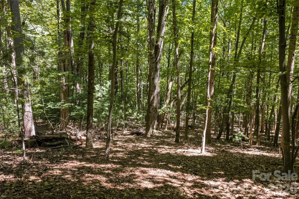 99999 Sabine Drive #2A Laurel Park, NC 28739
