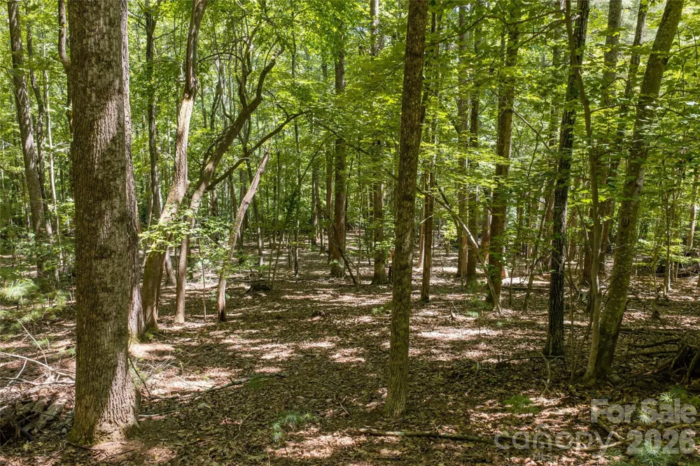 99999 Sabine Drive #2A Laurel Park, NC 28739