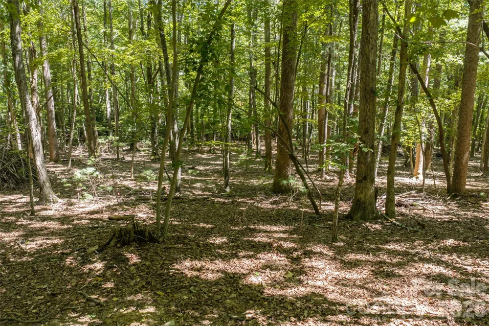 99999 Sabine Drive #2A Laurel Park, NC 28739