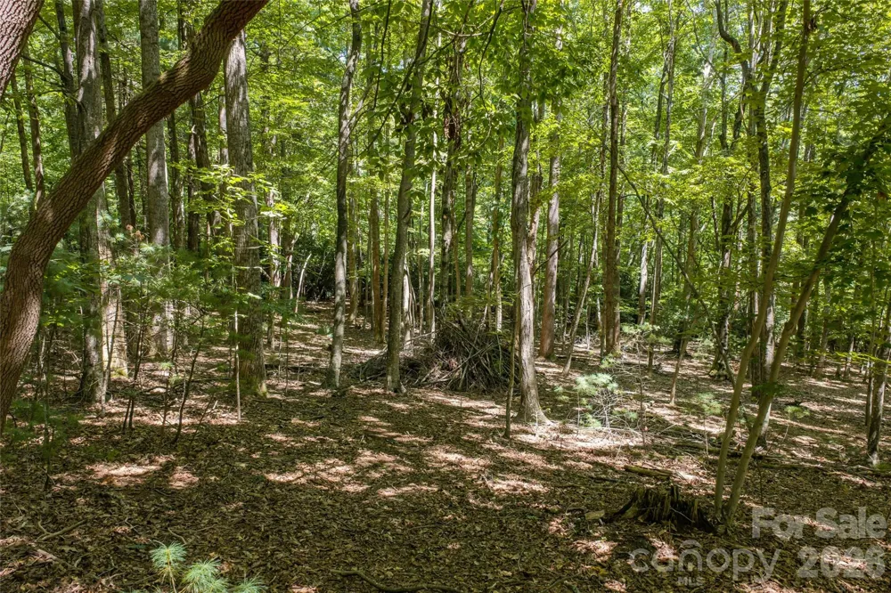 99999 Sabine Drive #2A Laurel Park, NC 28739