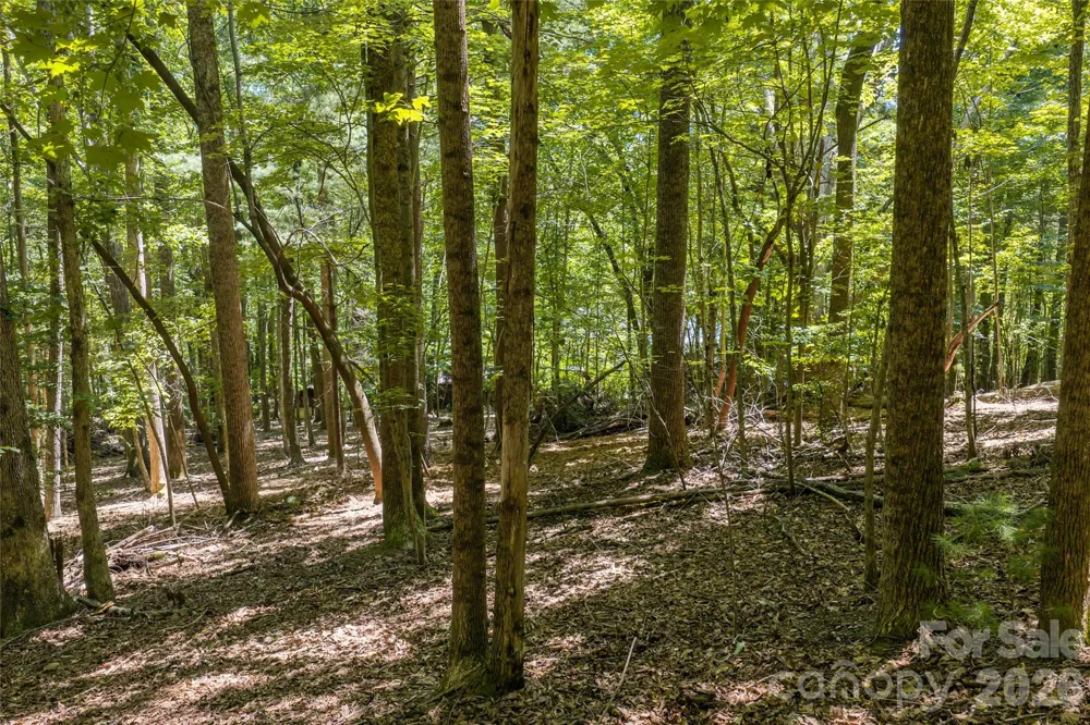 99999 Sabine Drive #2A Laurel Park, NC 28739