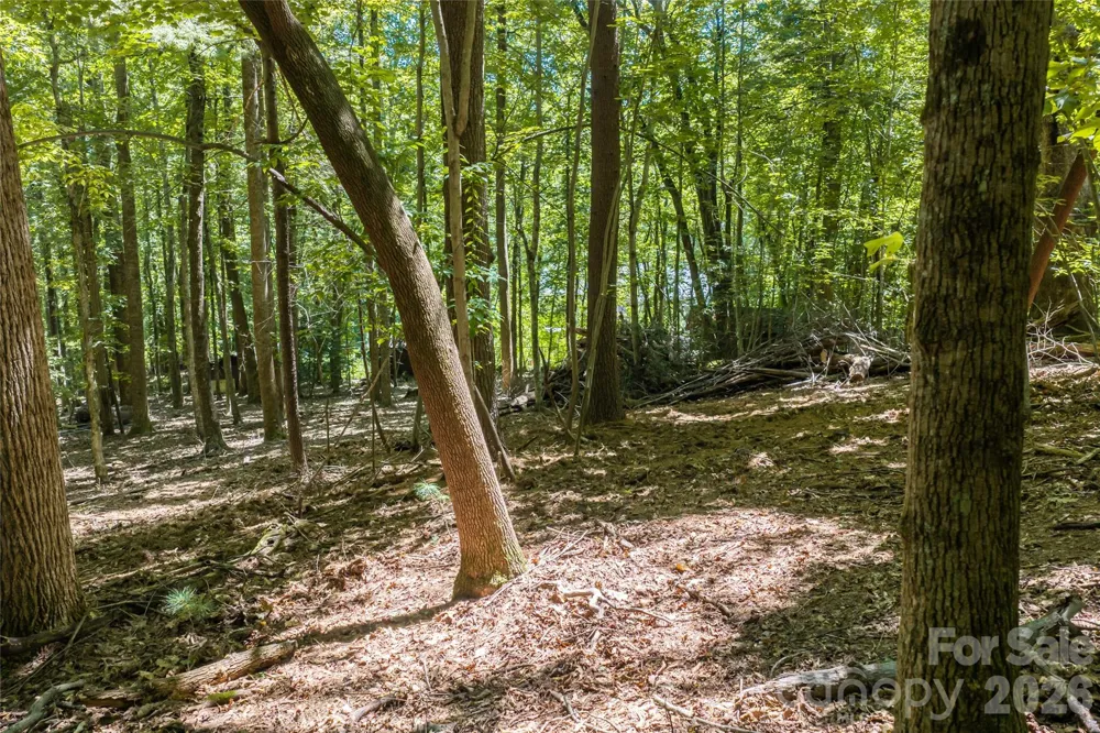 99999 Sabine Drive #2A Laurel Park, NC 28739