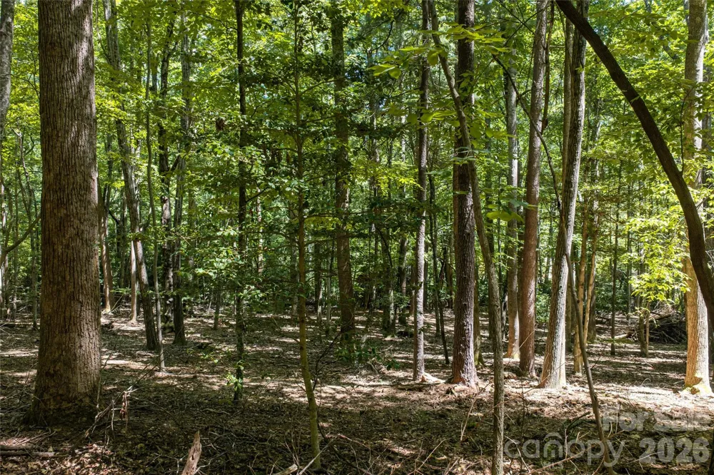 99999 Sabine Drive #2A Laurel Park, NC 28739