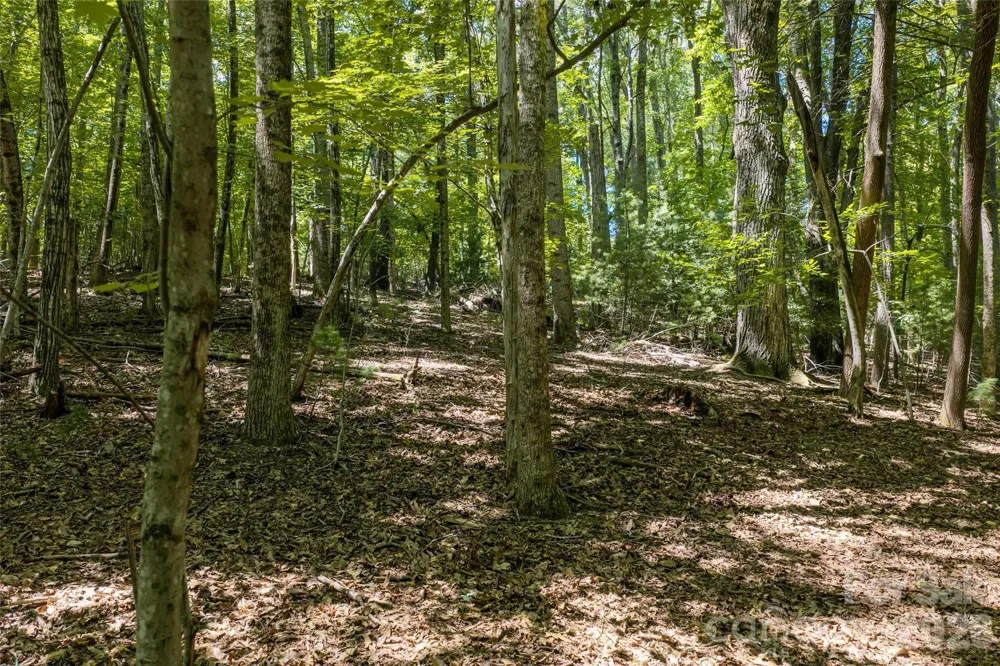 99999 Sabine Drive #2A Laurel Park, NC 28739