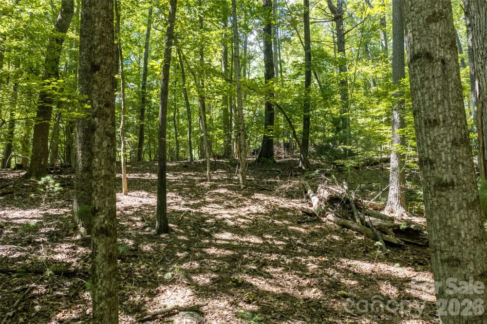 99999 Sabine Drive #2A Laurel Park, NC 28739
