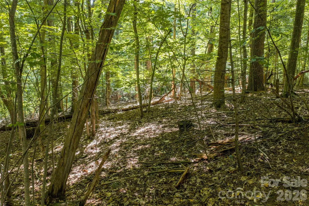 99999 Sabine Drive #2A Laurel Park, NC 28739