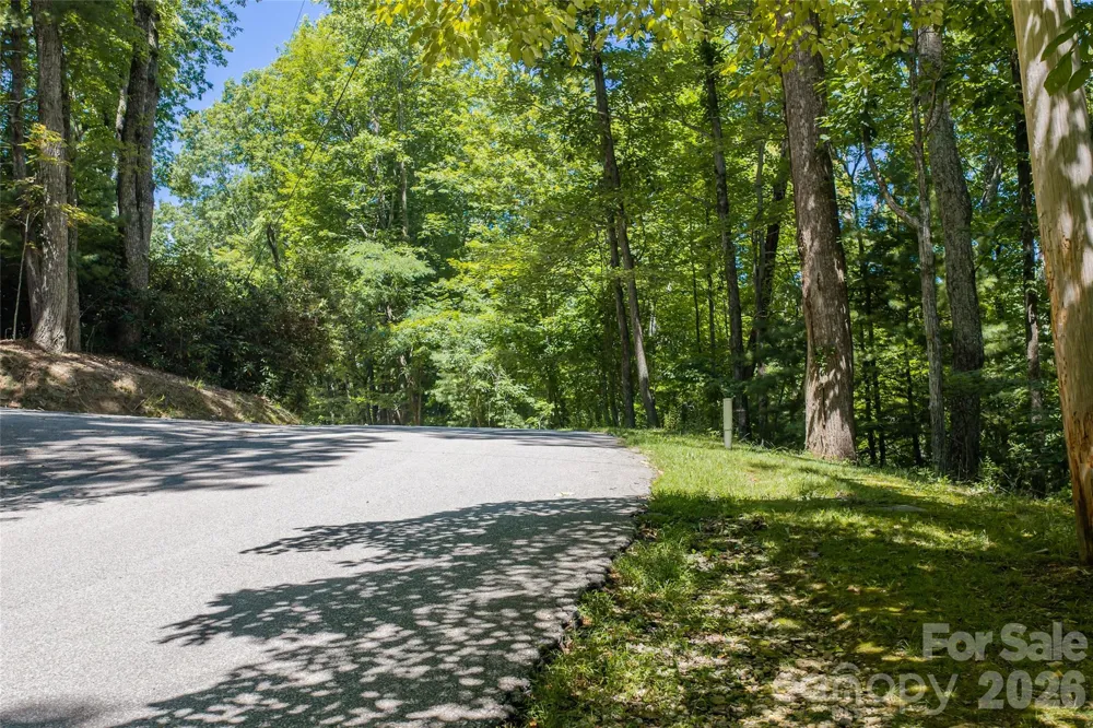 99999 Sabine Drive #2A Laurel Park, NC 28739