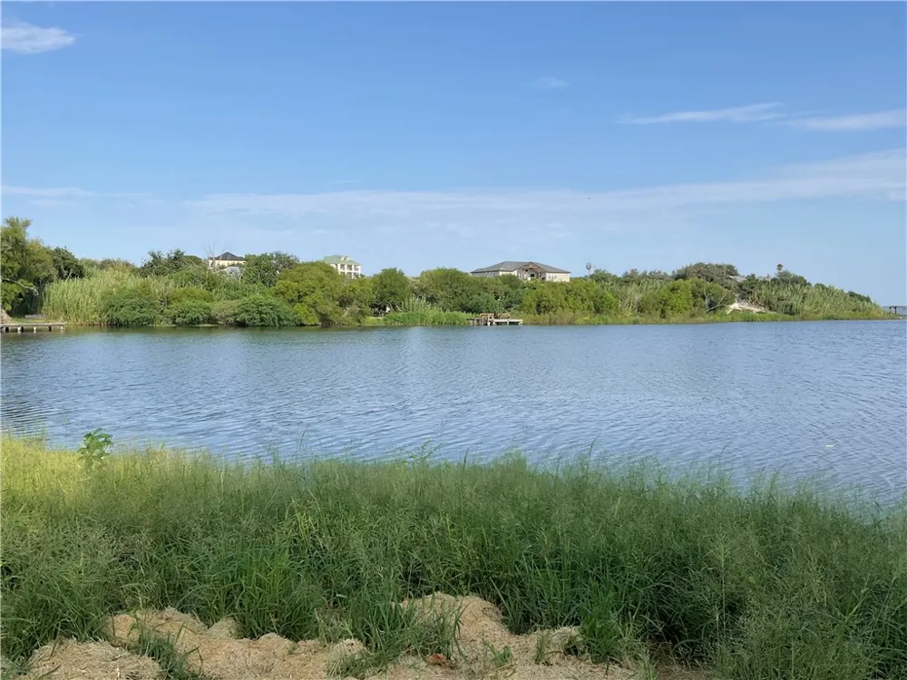 627 CR 3651 Sandia, TX 78383