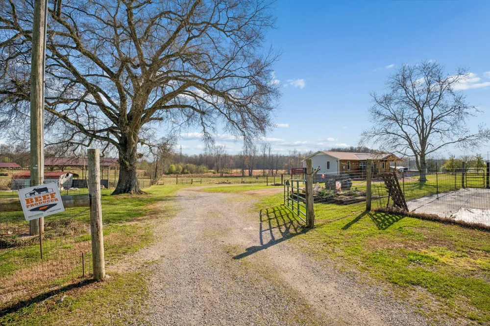 324 Laster Holman Lane Decherd, TN 37324