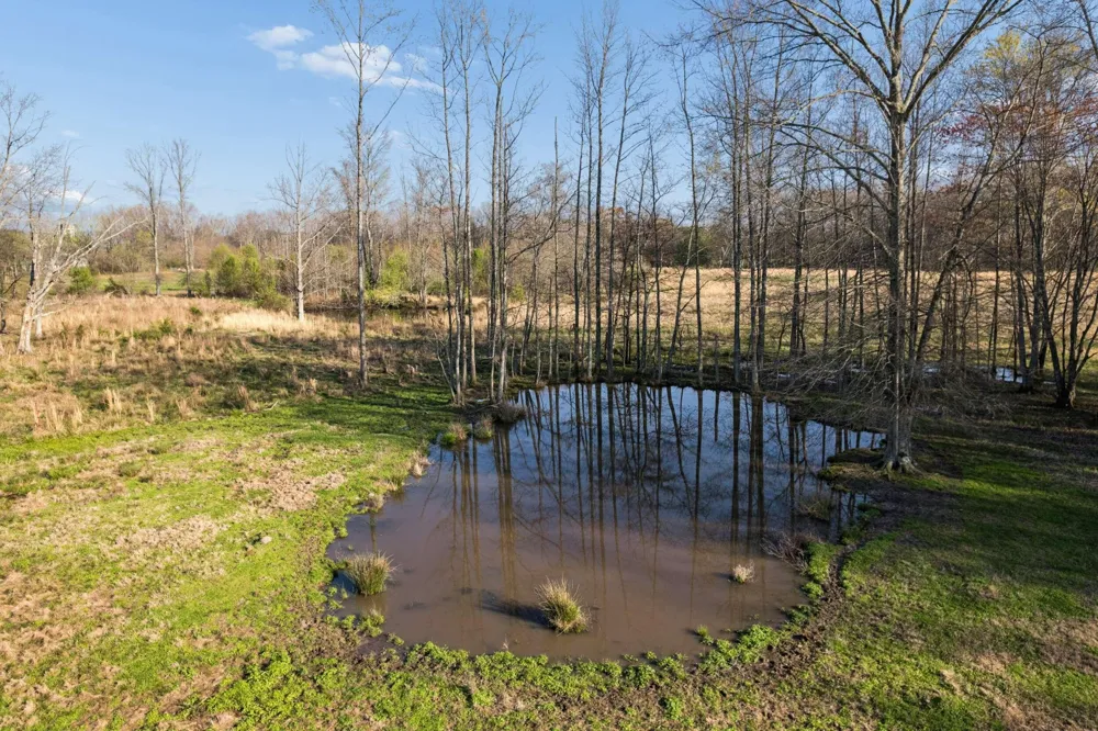324 Laster Holman Lane Decherd, TN 37324
