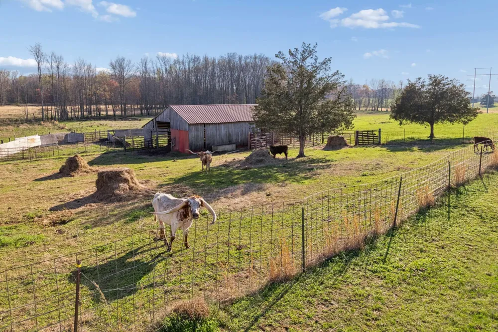 324 Laster Holman Lane Decherd, TN 37324