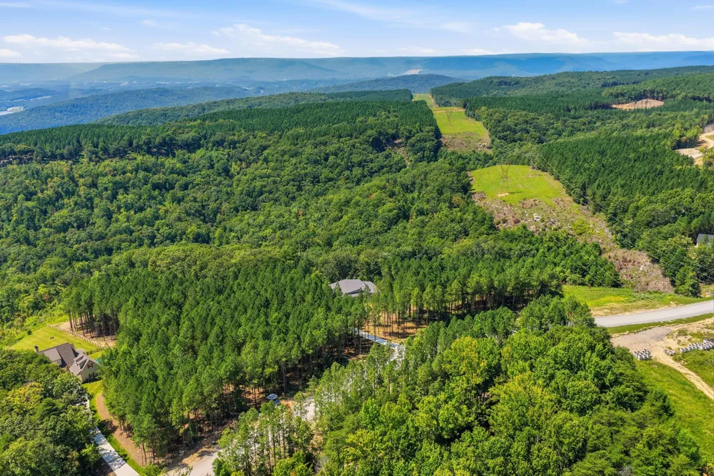 7815 Split Rail Way Guild, TN 37340