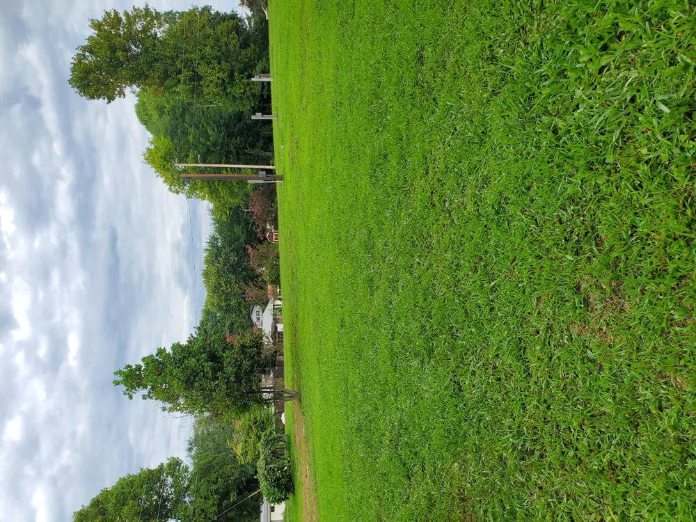 103 Stooping Oak Road Dunlap, TN 37327