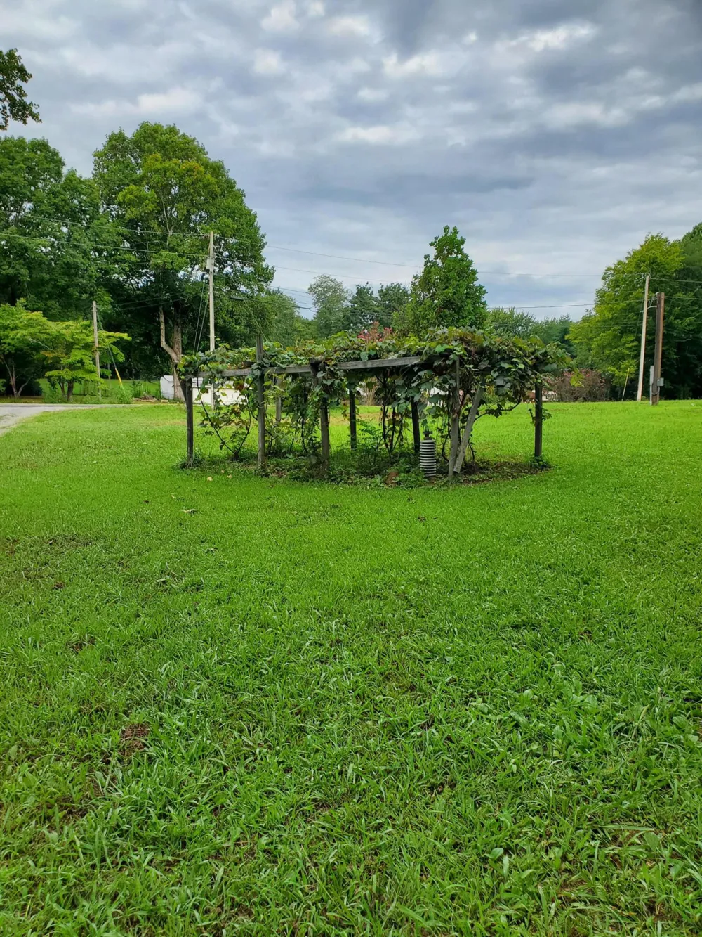 103 Stooping Oak Road Dunlap, TN 37327