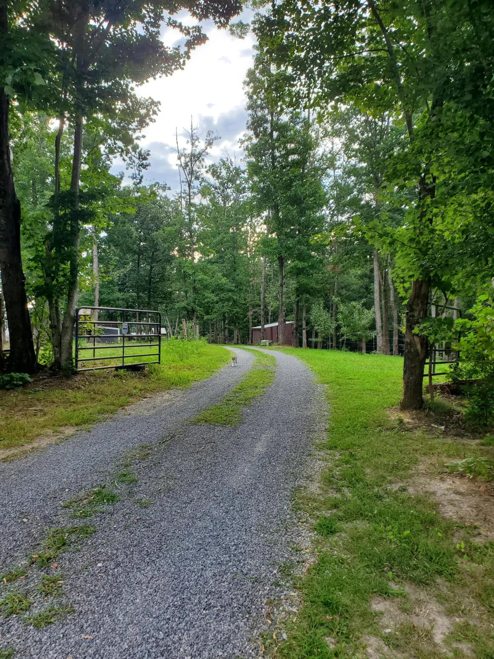 103 Stooping Oak Road Dunlap, TN 37327