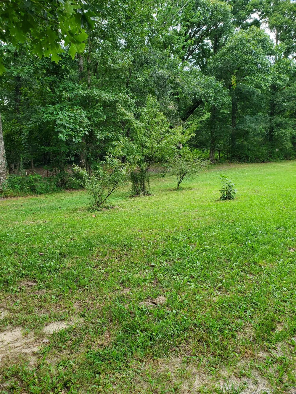 103 Stooping Oak Road Dunlap, TN 37327