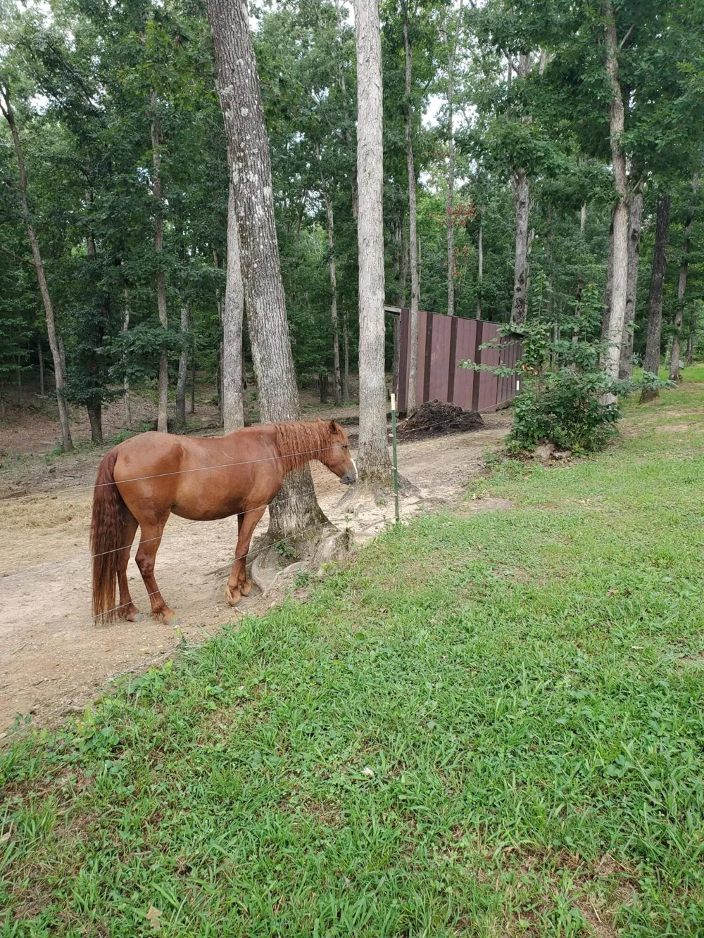 103 Stooping Oak Road Dunlap, TN 37327