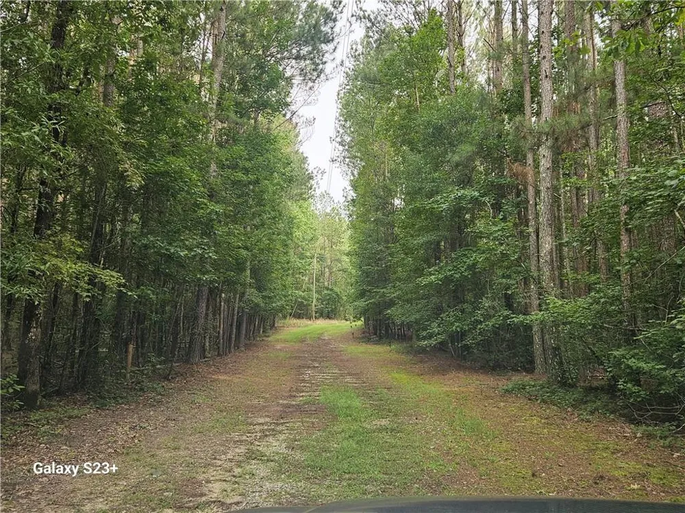 1371 Bairdstown Road Union Point, GA 30669