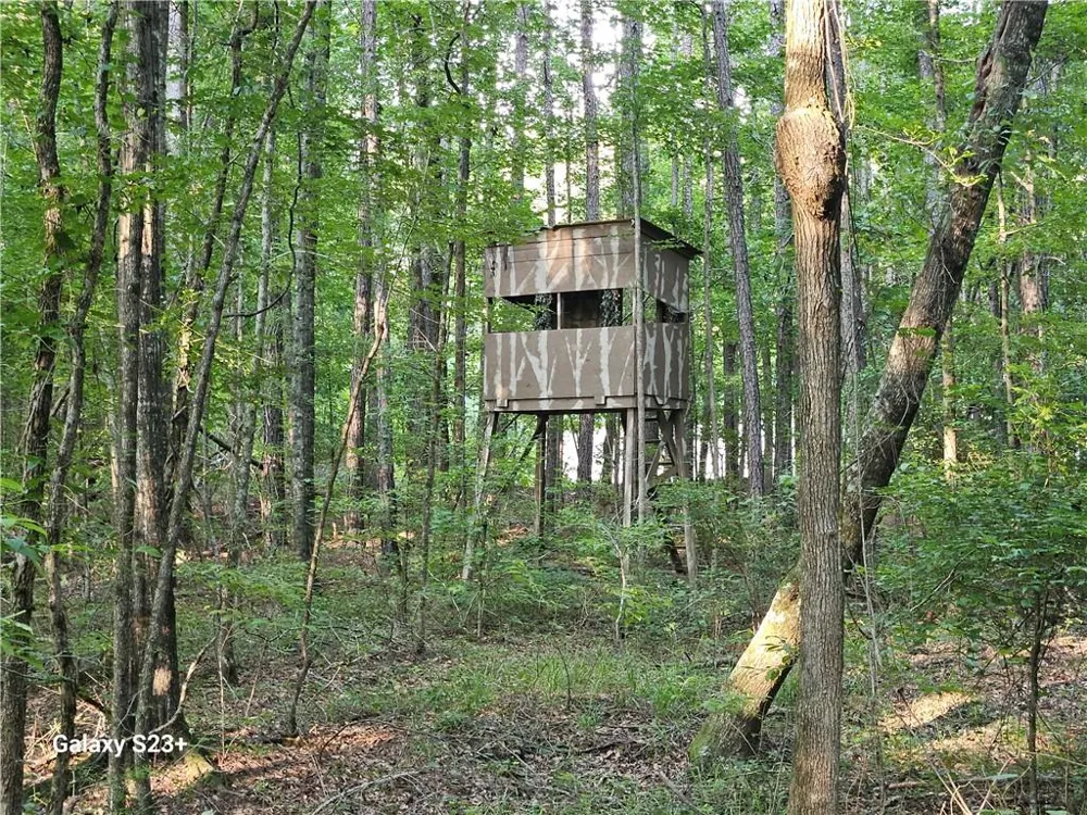 1371 Bairdstown Road Union Point, GA 30669