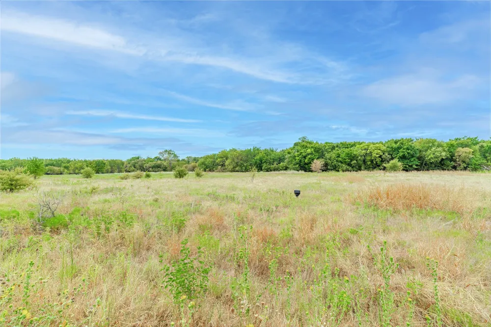 112 Plumed Thistle Drive Fort Worth, TX 76131