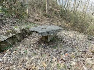 Falling Waters Rd Cullowhee, NC 28723