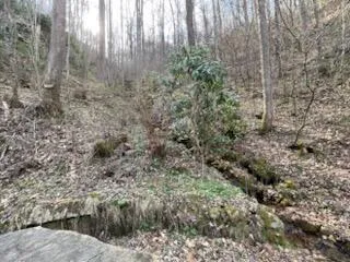Falling Waters Rd Cullowhee, NC 28723