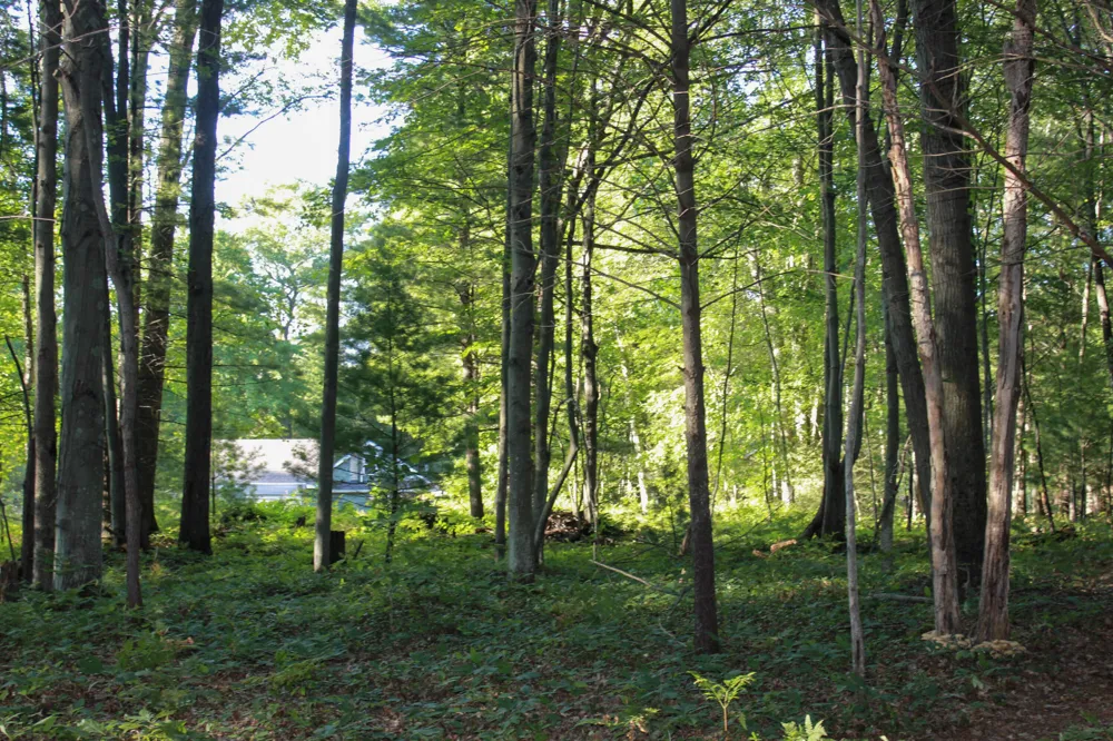 3429 W Giles Road Muskegon, MI 49445