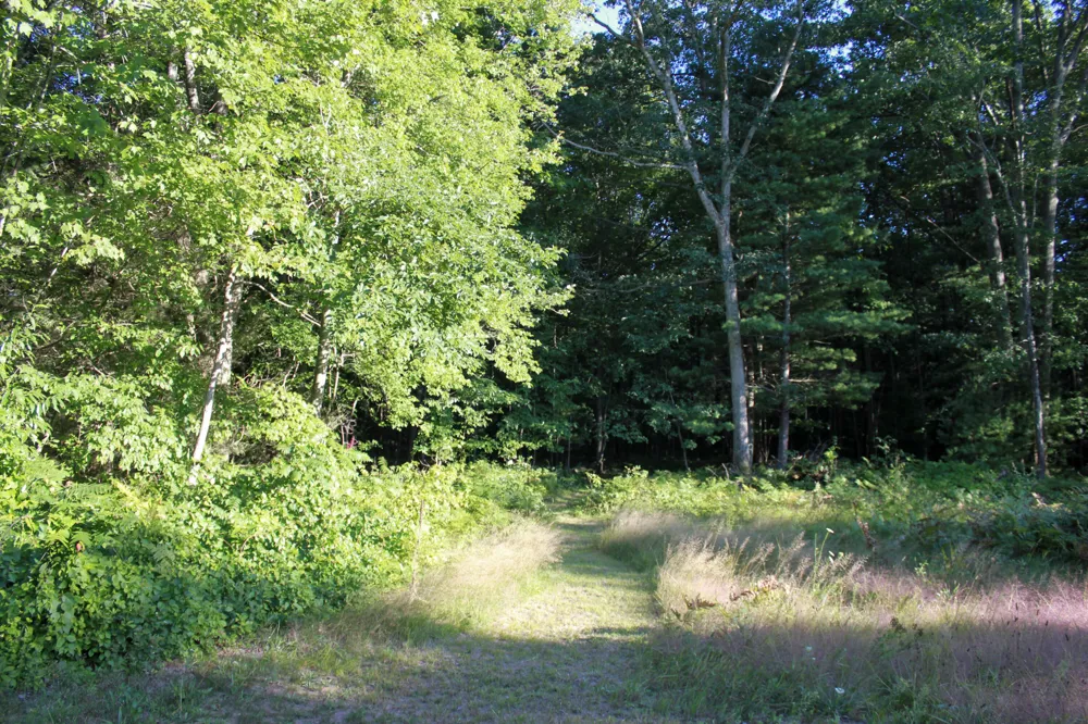 3429 W Giles Road Muskegon, MI 49445
