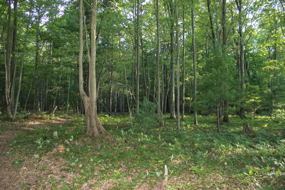 3429 W Giles Road Muskegon, MI 49445