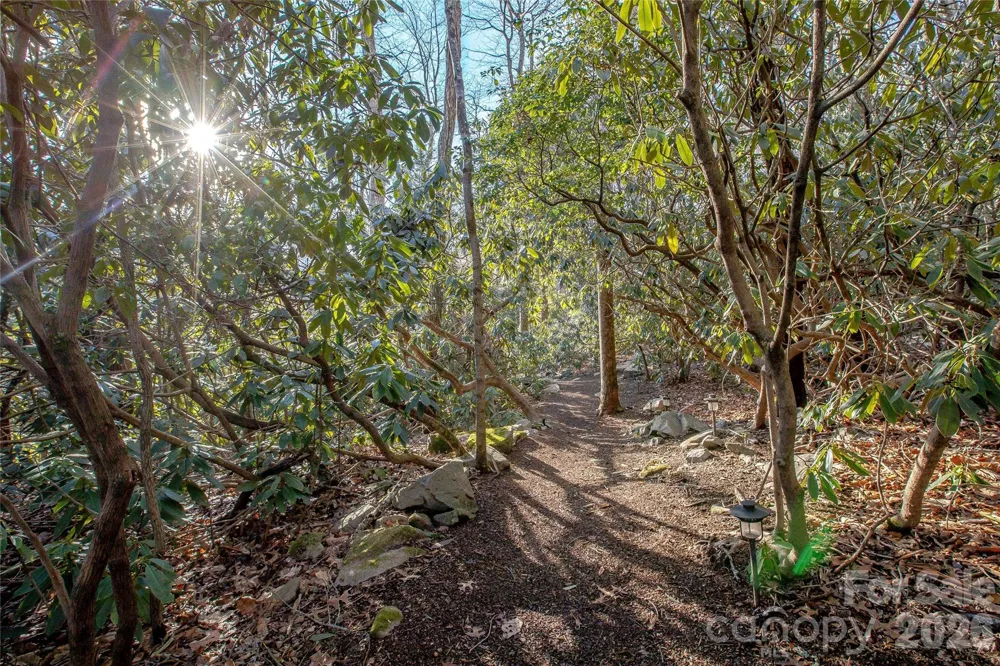 15 E Owl Creek Lane Fairview, NC 28730