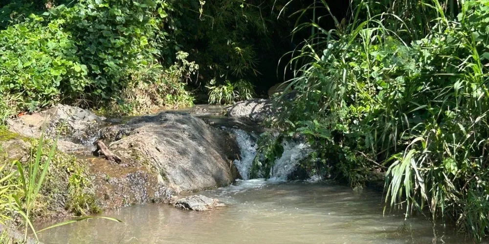 Carr 424 BO GUACIO San Sebastian, PR 00685