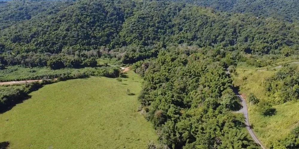 Carr 424 BO GUACIO San Sebastian, PR 00685
