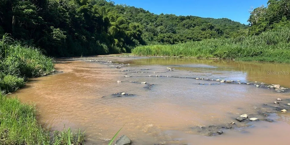 Carr 424 BO GUACIO San Sebastian, PR 00685