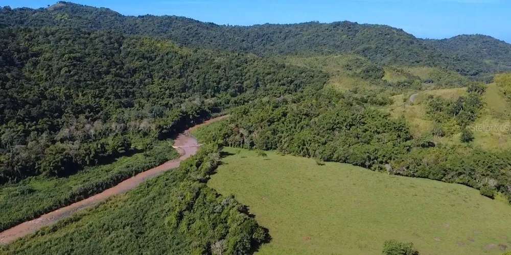Carr 424 BO GUACIO San Sebastian, PR 00685