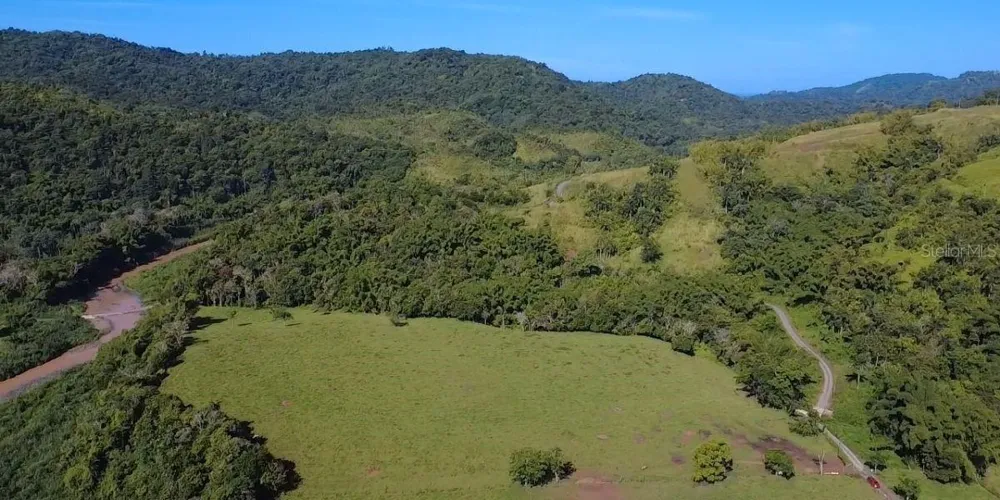 Carr 424 BO GUACIO San Sebastian, PR 00685