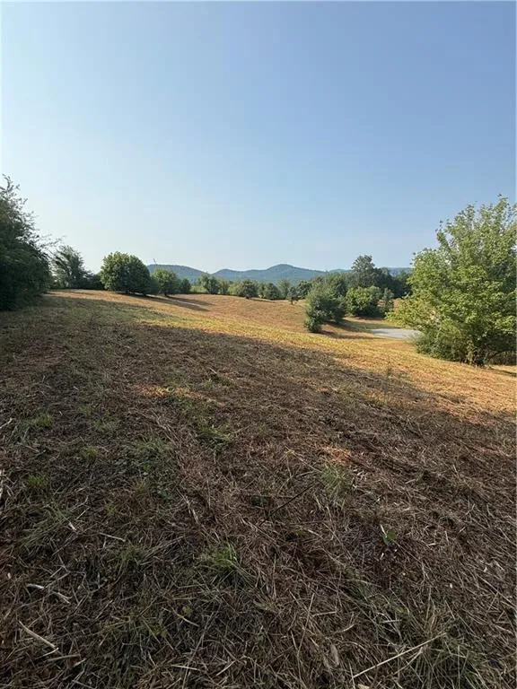 000 Ridgemont Lane Ellijay, GA 30536