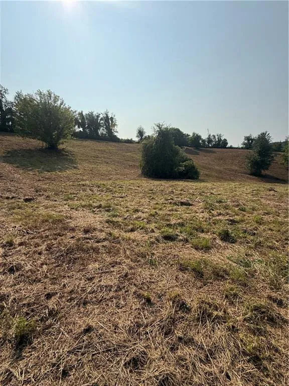 000 Ridgemont Lane Ellijay, GA 30536