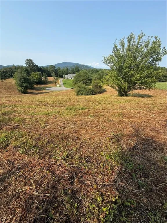 000 Ridgemont Lane Ellijay, GA 30536