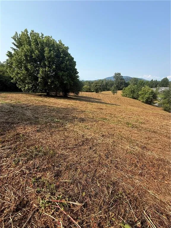 000 Ridgemont Lane Ellijay, GA 30536