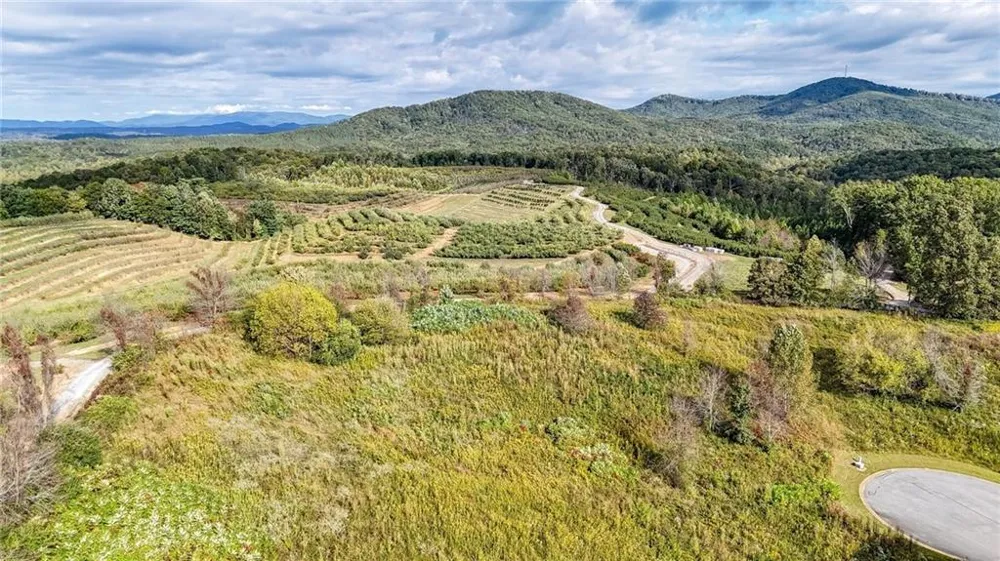000 Ridgemont Lane Ellijay, GA 30536