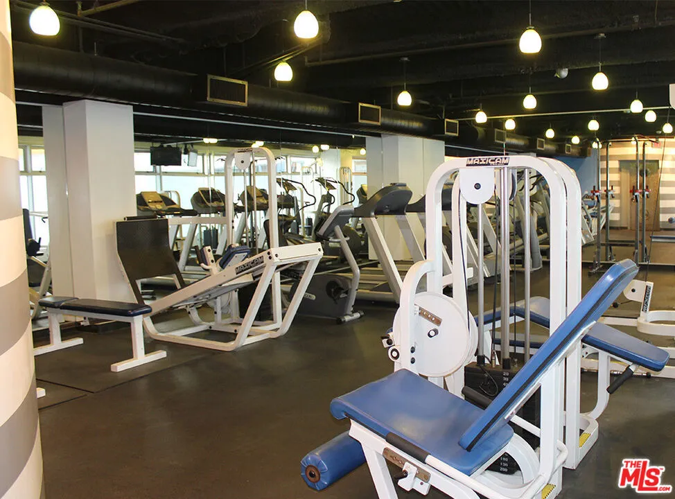 1431 Ocean Avenue #1205 Santa Monica, CA 90401