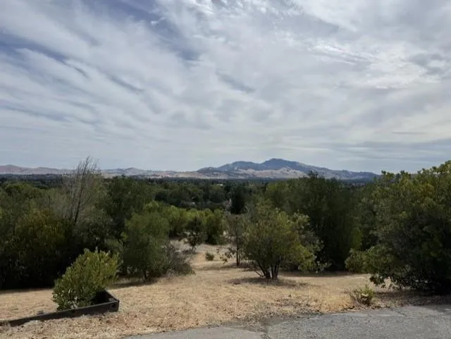 501 Camino Las Juntas Pleasant Hill, CA 94523