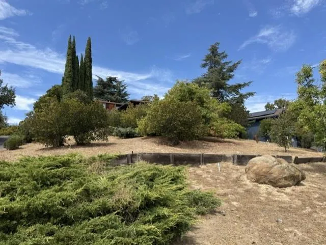 501 Camino Las Juntas Pleasant Hill, CA 94523